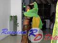 medellin-women-61