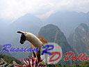 Machu-Picchu-009