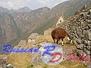 Machu-Picchu-020